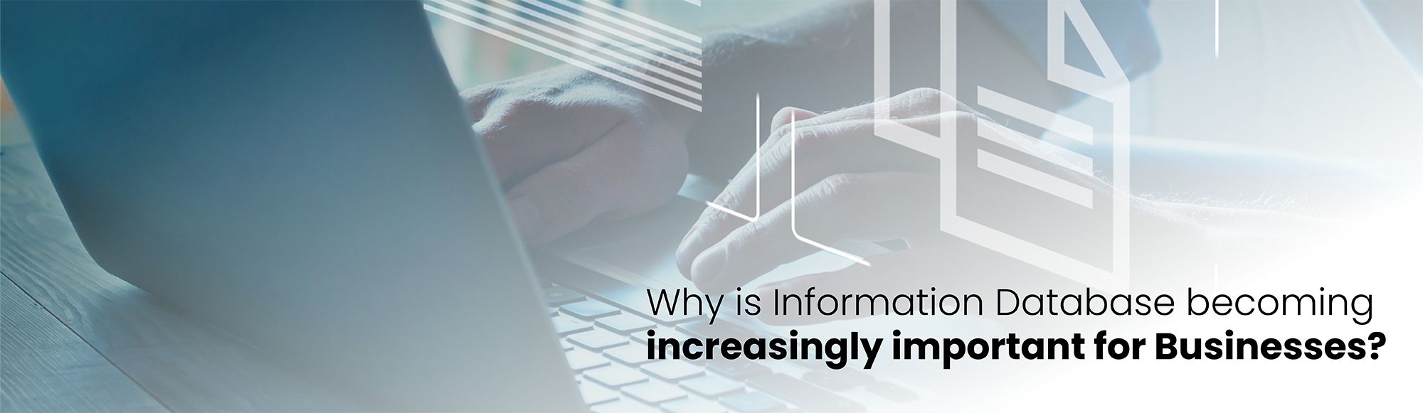 why-is-information-database-becoming-increasingly-important-for-businesses